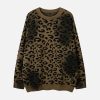 Concert Outfit Tie-Dye Cheetah Jacquard Sweater